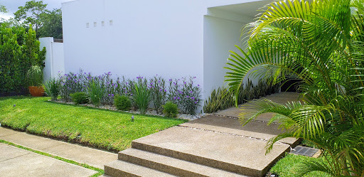 galeria1